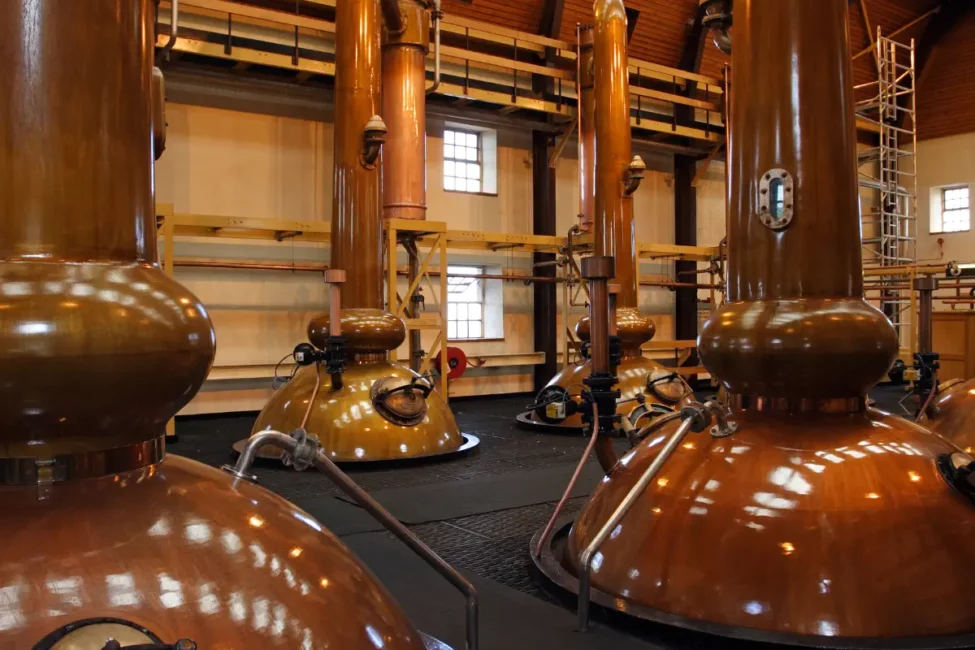 MARKHOR - Wódka Konopna Premium