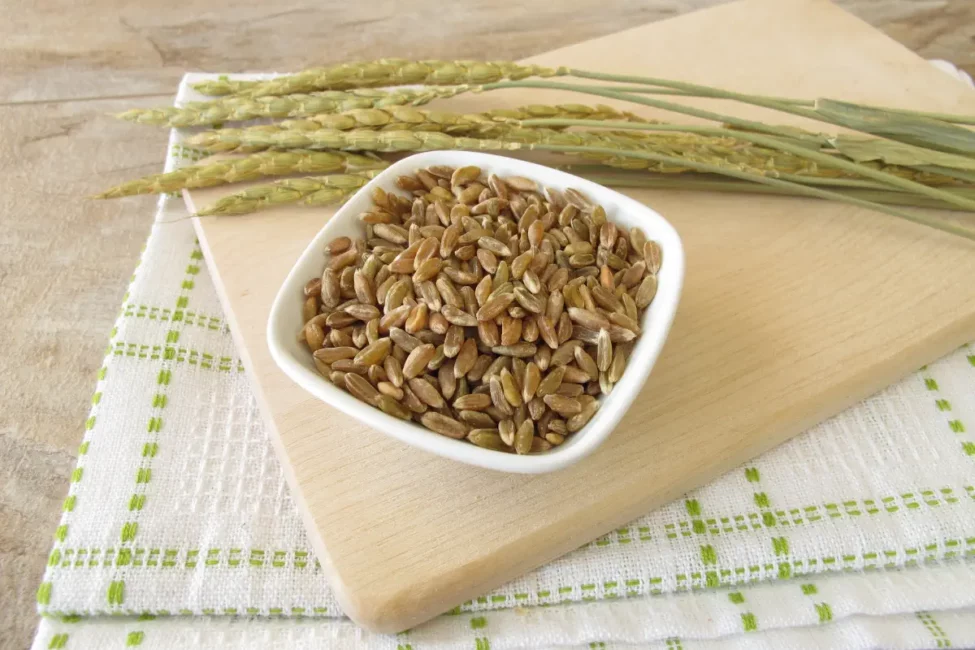 MARKHOR - Wódka Konopna Premium